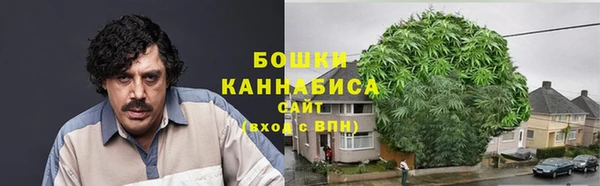 прущие грибы Верхний Тагил